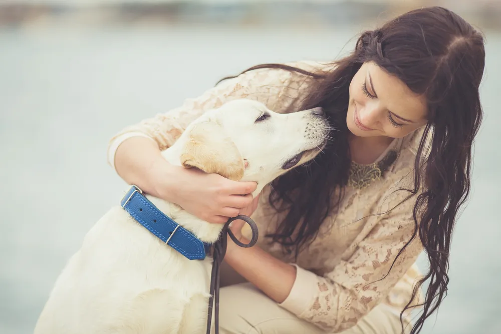 10 bienfaits que nous apportent nos animaux de compagnie