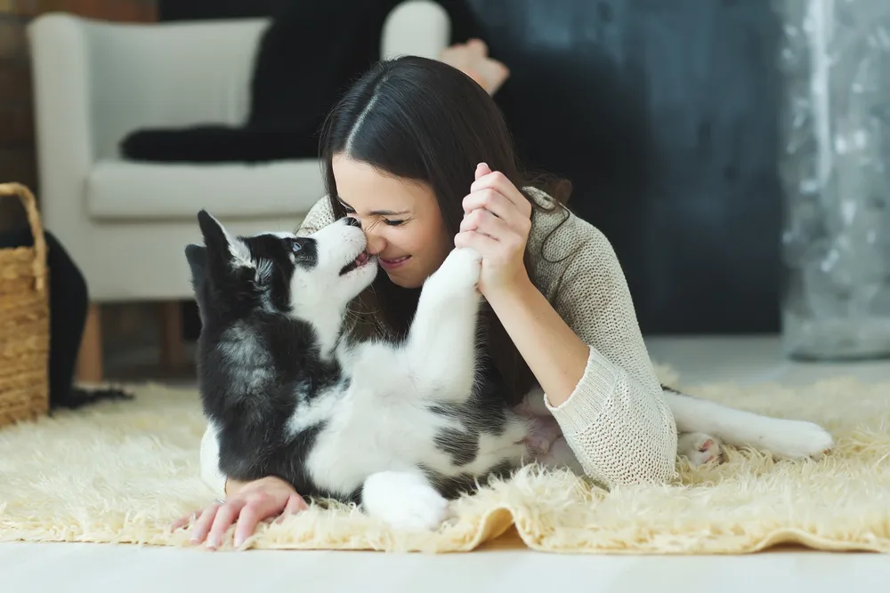 5 règles pour bien cohabiter avec son chien