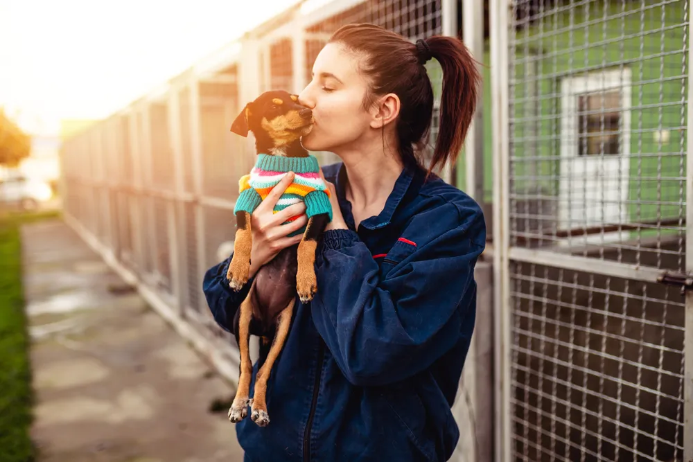 Choisir son chien : nos conseils pour faire le bon choix