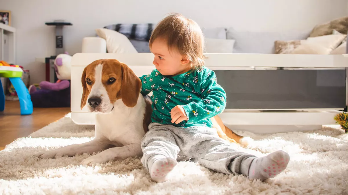 Conseils pour une bonne entente chien-enfant