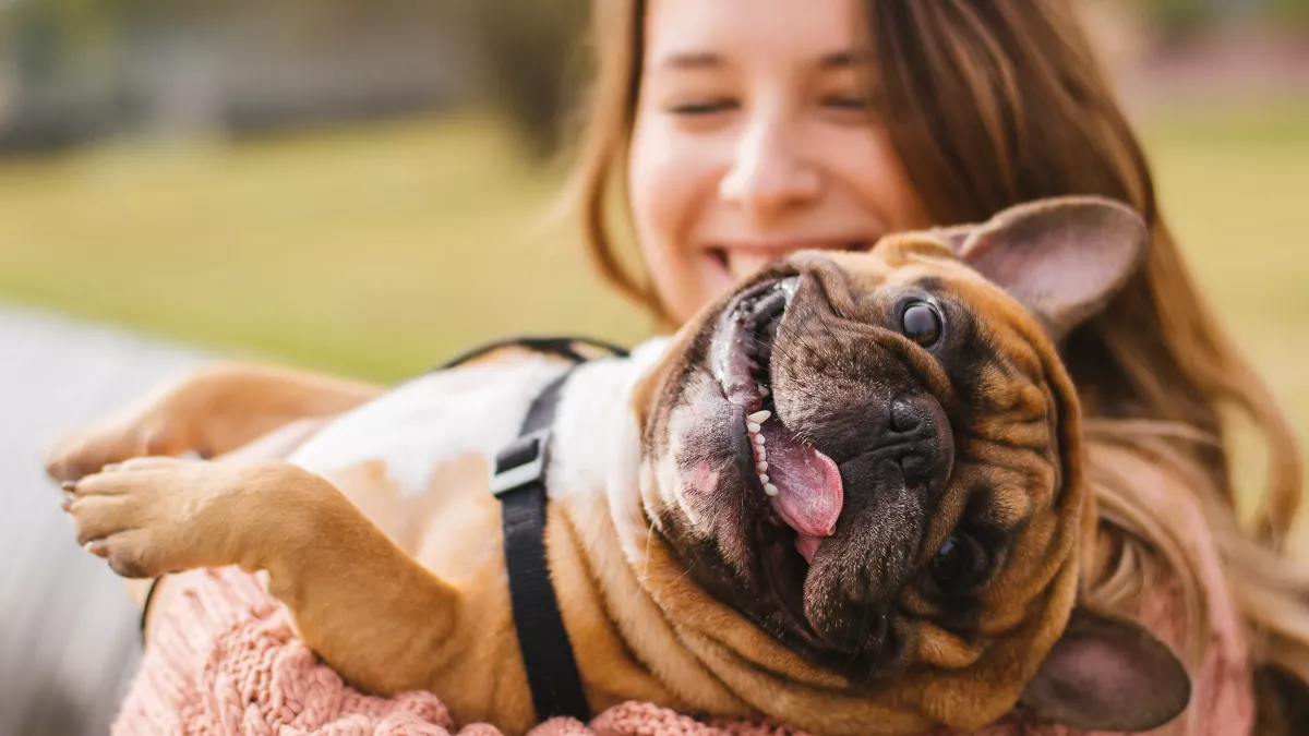 5 fleurs de Bach pour lutter contre les troubles du comportement du chien