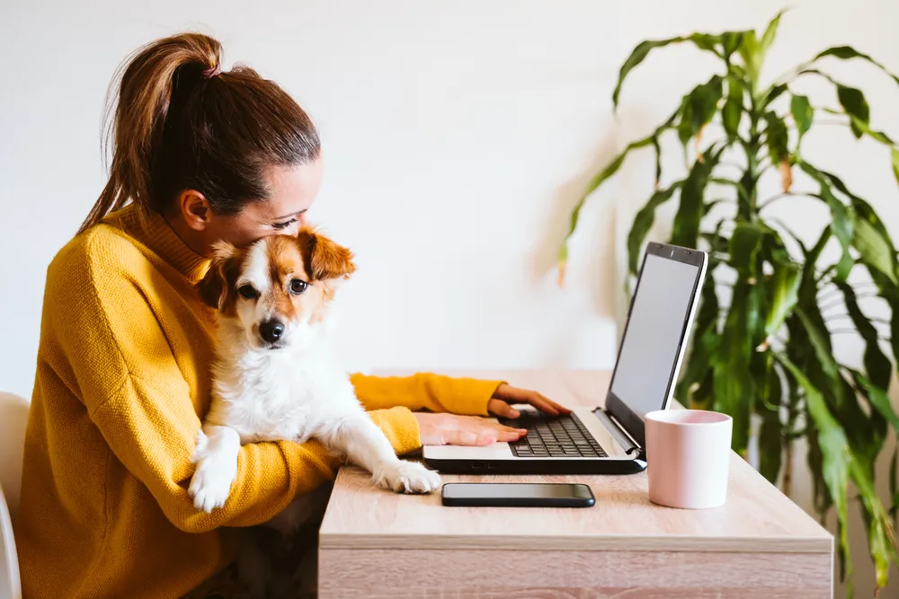 5 bonnes raisons d'avoir un animal au bureau