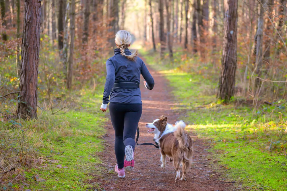 8 activités à faire avec son chien à la rentrée