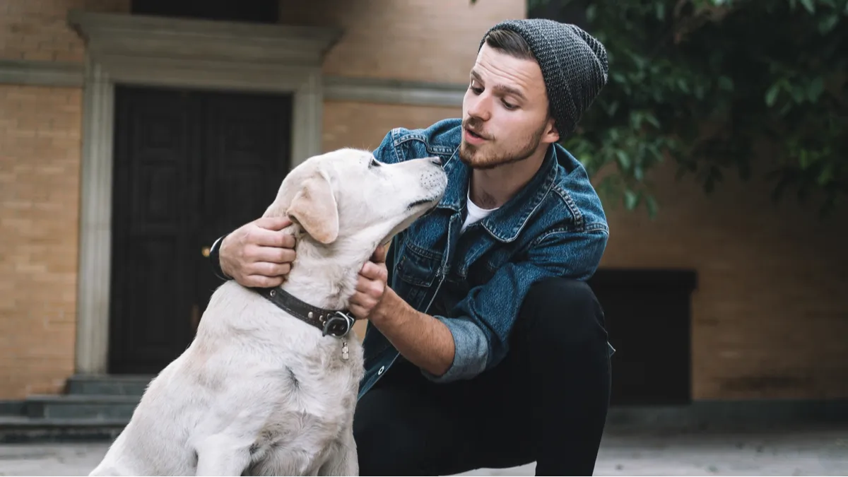 98% de français se comportent comme ça avec leur chien. Et vous ?