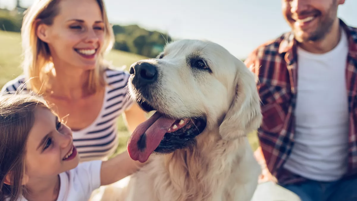 Un animal de compagnie peut améliorer votre vie !