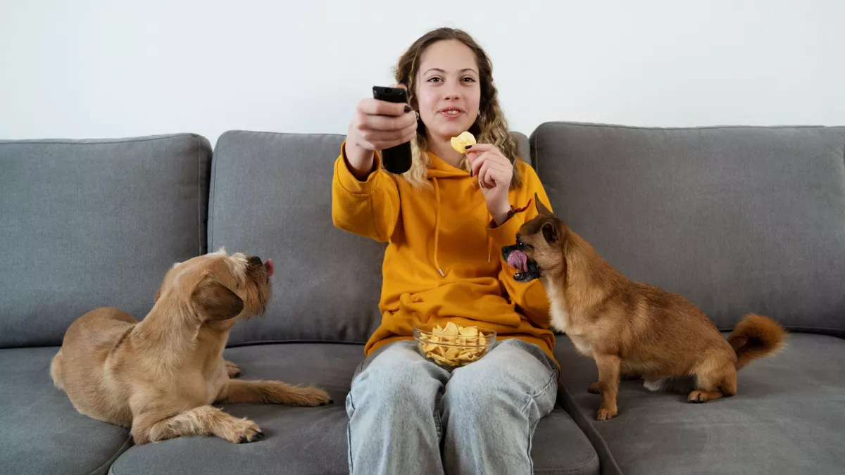 Vrai ou faux : mon chien peut manger des chips !