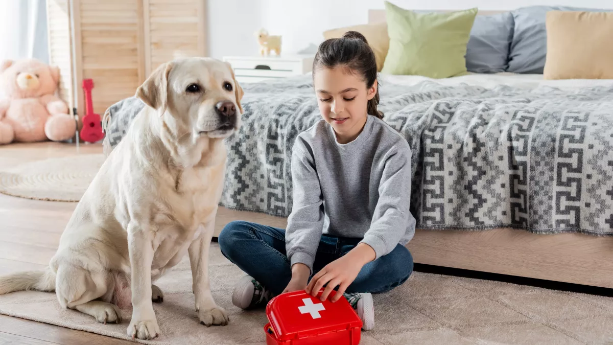 10 gestes de premiers secours à connaître pour son animal !