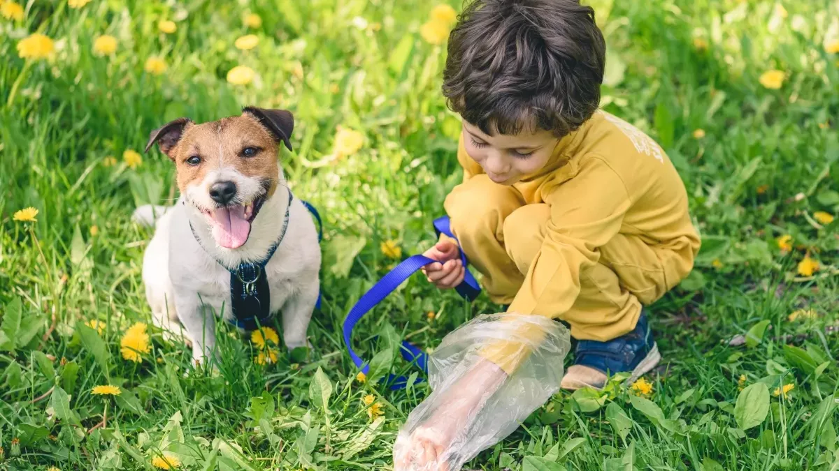 Chien qui mange ses crottes et de l'herbe