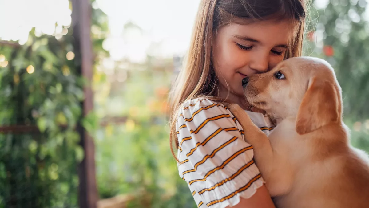 5 bonnes raisons d'adopter un animal pour votre enfant !