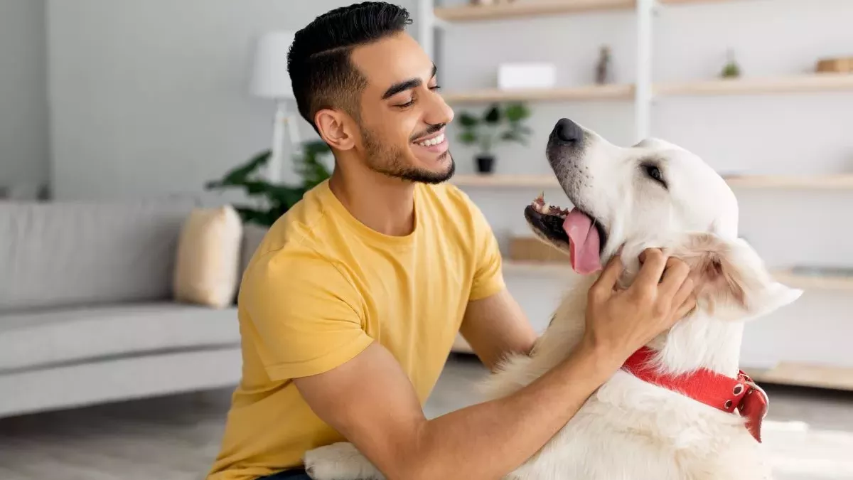 Les animaux de compagnie font du bien à notre cerveau !