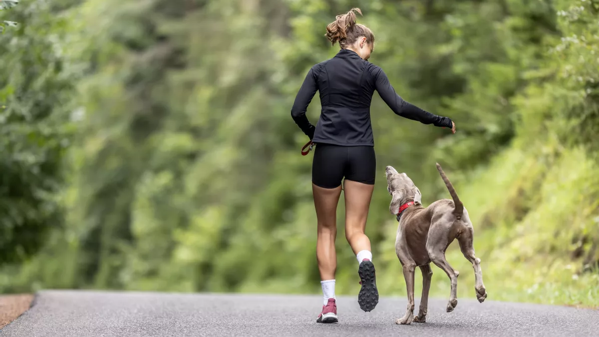 5 idées pour faire du sport avec son chien