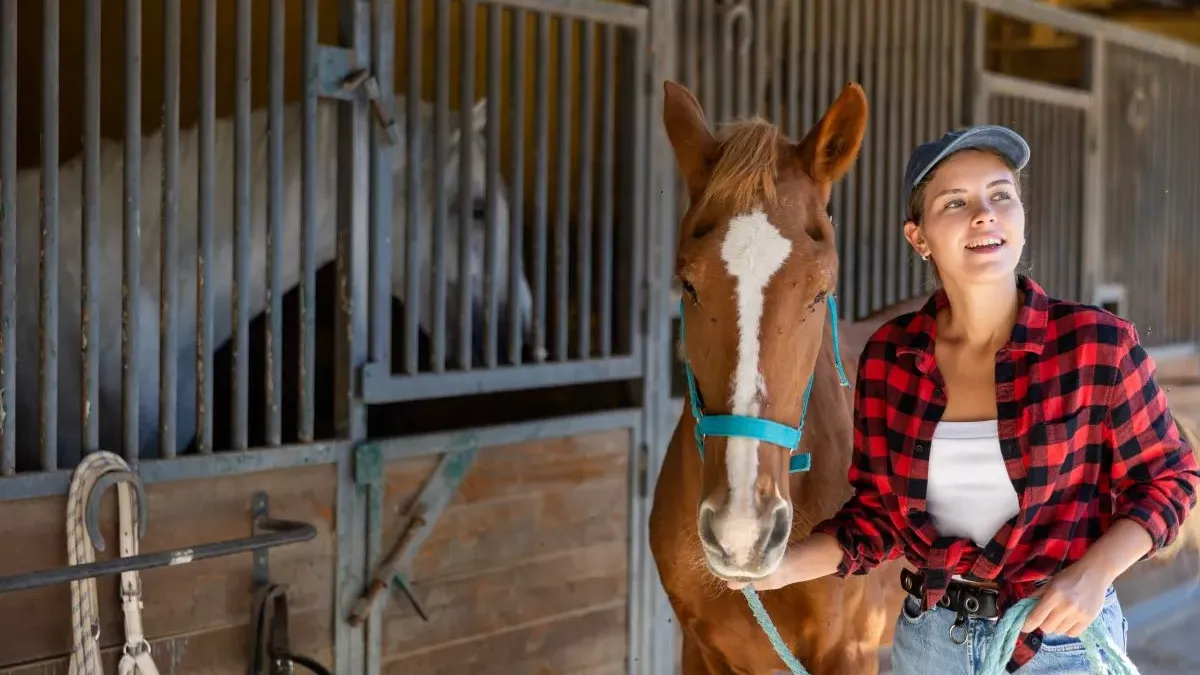 Cheval français : les races emblématiques et leur histoire