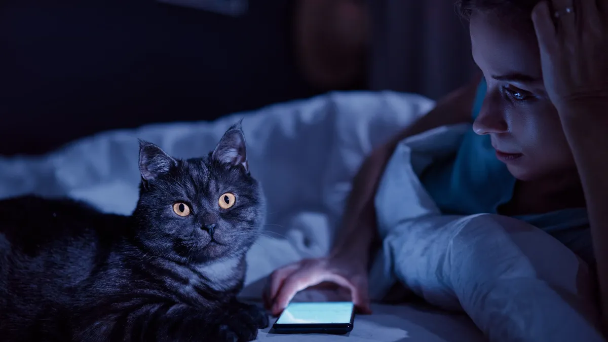 Mon chat me réveille la nuit : comment l’en empêcher ?