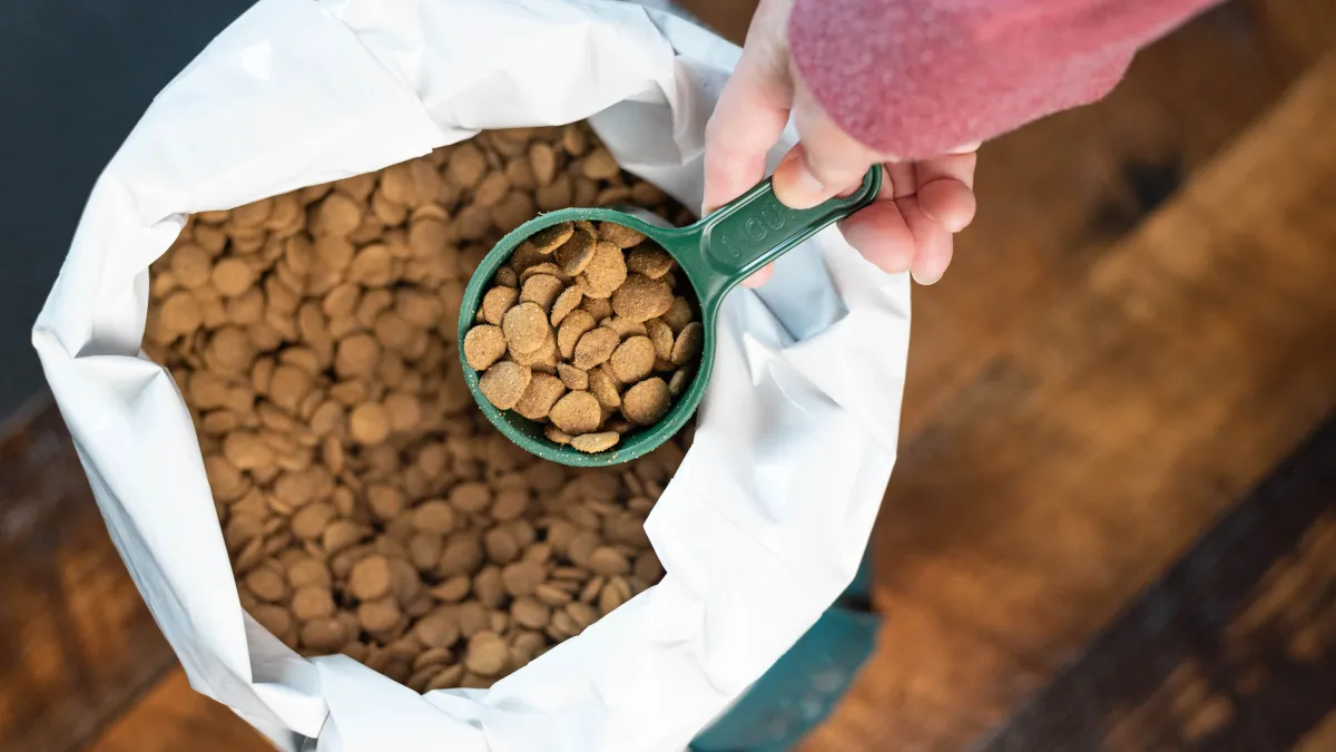Nourriture industrielle : ce que votre animal mange vraiment