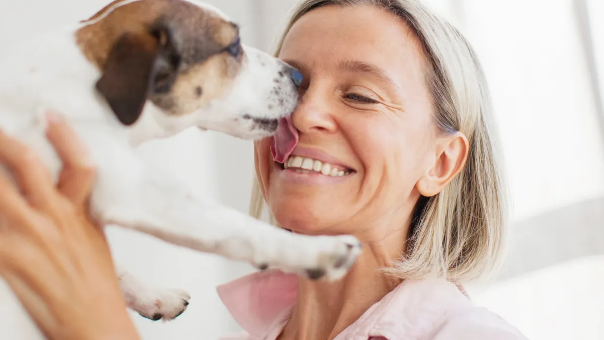 Votre chien vous lèche tout le temps ? Ce geste cache plus que de l’affection