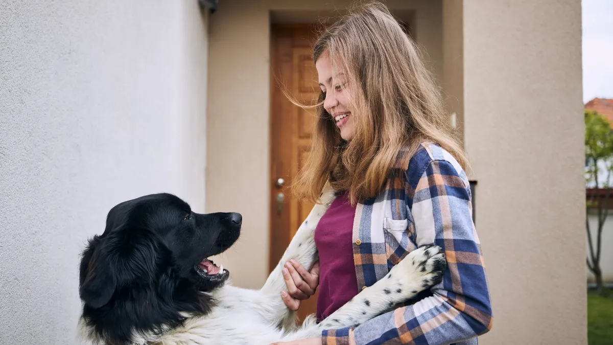 Votre chien vous saute dessus en rentrant ? Voici comment lui apprendre à se canaliser