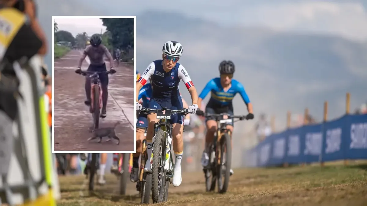 Philippines : un cycliste évite un chat en pleine course - la vidéo devient virale