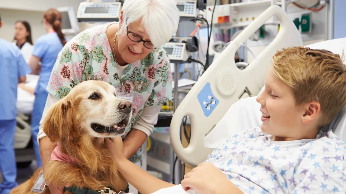 Chiens, chats… Peuvent-ils vraiment repérer les maladies chez l’homme avant les médecins ?