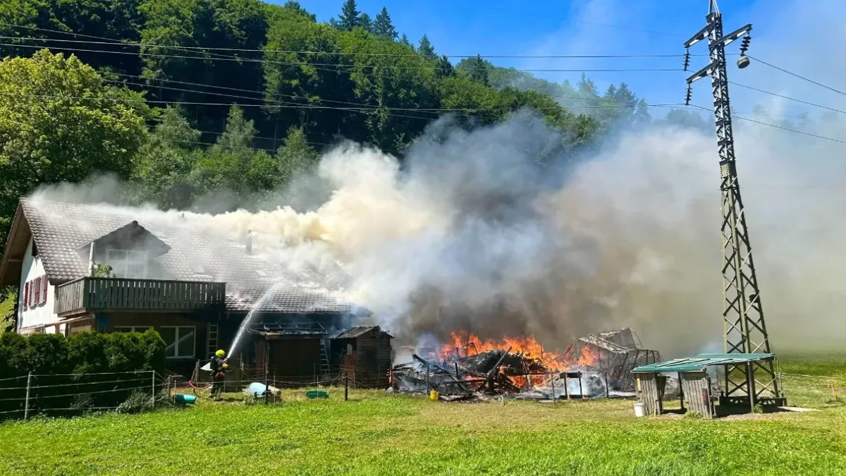 Drame à Berne : des dizaines d’animaux brûlés vifs dans un incendie tragique !