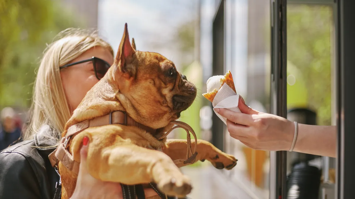Incroyable : des glaces goût poulet rôti pour votre chien et validées par un vétérinaire