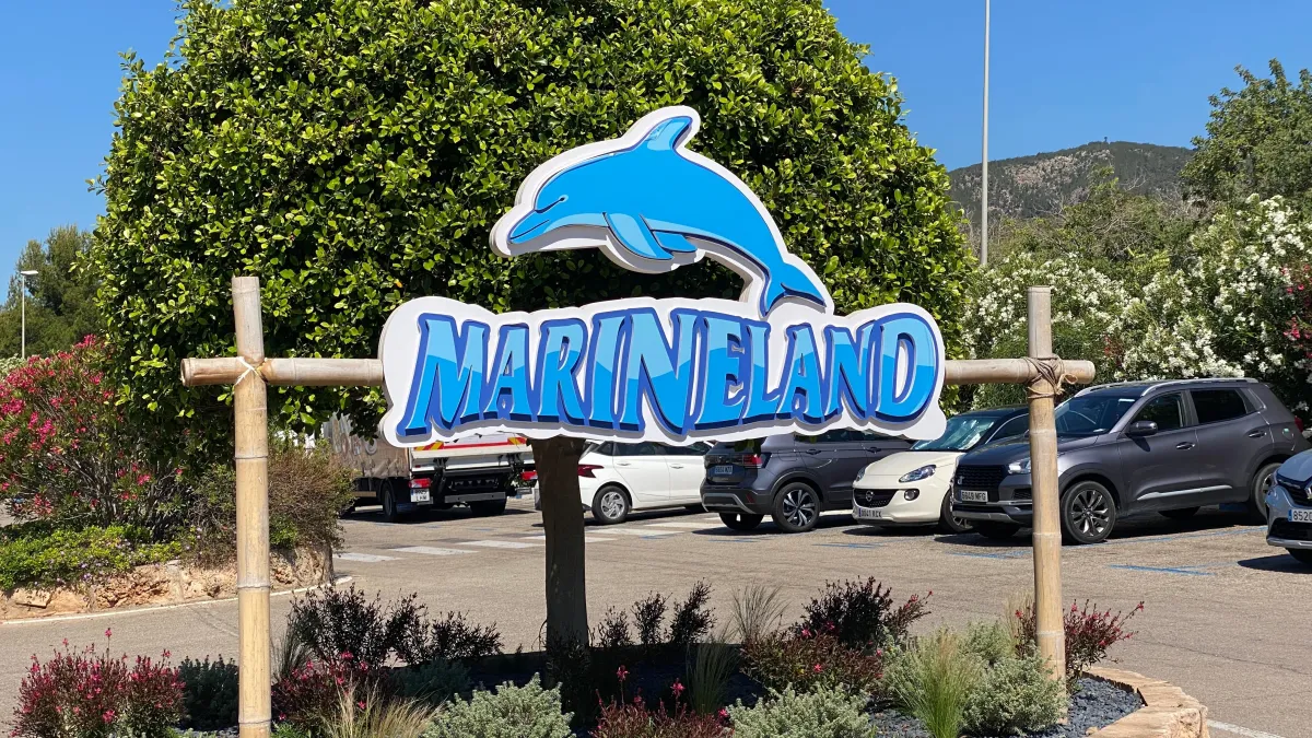 Marineland : l’urgence grandit pour les orques et dauphins toujours bloqués dans des bassins vétustes