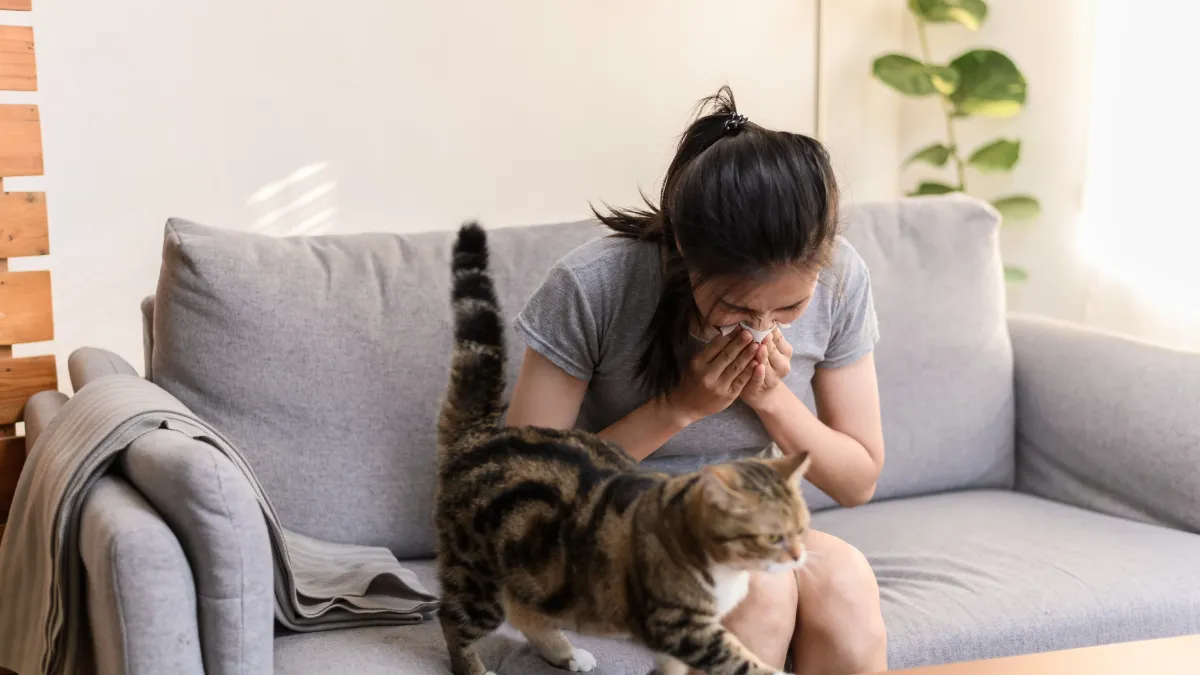 7 erreurs courantes qui aggravent votre allergie aux chats (et comment les éviter facilement)