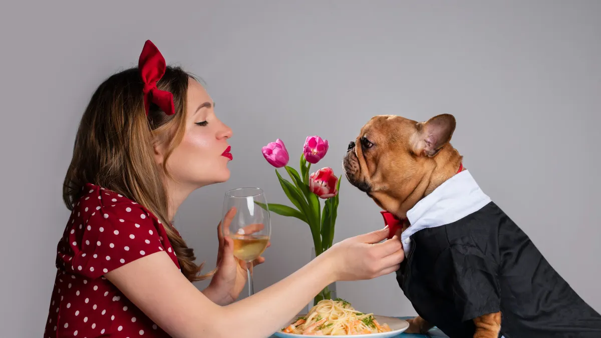 Ils ont dit OUI à leur animal : ces mariages insolites qui défient l’imagination !