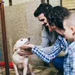 5 choses savoir adopter animal