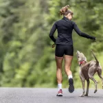 sport chien