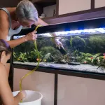 Comment aménager un aquarium : le guide complet !