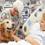 Chiens, chats… Peuvent-ils vraiment repérer les maladies chez l’homme avant les médecins ?