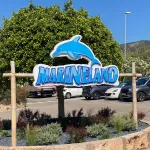 Marineland : l’urgence grandit pour les orques et dauphins toujours bloqués dans des bassins vétustes