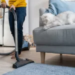 Pourquoi mon chat a-t-il peur de l’aspirateur ? Causes, astuces et conseils pour l’aider