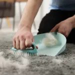 Voici l'astuce simple et efficace pour éliminer définitivement les poils d’animaux à la maison