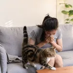 7 erreurs courantes qui aggravent votre allergie aux chats (et comment les éviter facilement)