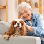 Comment des chiens dressés pourraient révolutionner le dépistage précoce de la maladie de Parkinson