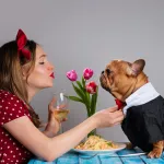 Ils ont dit OUI à leur animal : ces mariages insolites qui défient l’imagination !