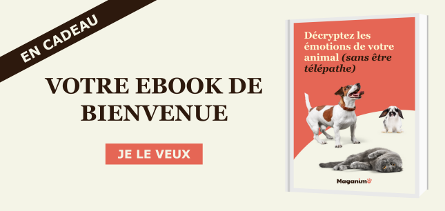 Téléchargez votre ebook offert