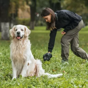 sang-dans-selles-chien