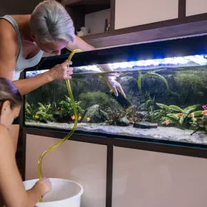 Comment aménager un aquarium : le guide complet !