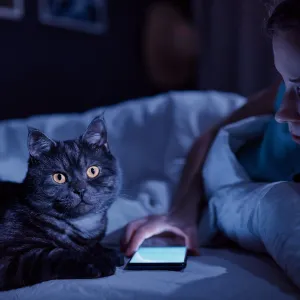 Mon chat me réveille la nuit : comment l’en empêcher ?