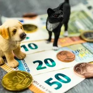 Chat ou chien : qui coûte le plus cher sur une vie entière ?