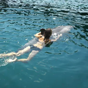 Les dauphins peuvent-ils vraiment sauver des humains ?