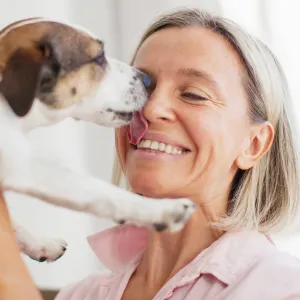 Votre chien vous lèche tout le temps ? Ce geste cache plus que de l’affection