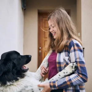 Votre chien vous saute dessus en rentrant ? Voici comment lui apprendre à se canaliser