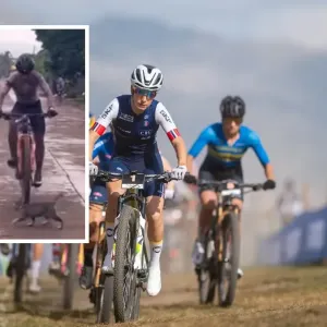 Philippines : un cycliste évite un chat en pleine course - la vidéo devient virale