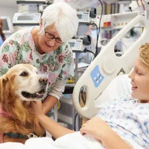 Chiens, chats… Peuvent-ils vraiment repérer les maladies chez l’homme avant les médecins ?