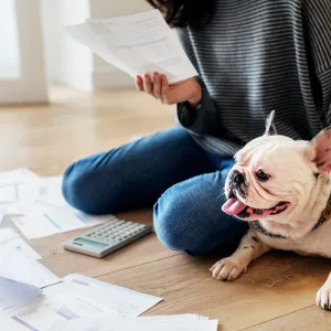 Non, il n’y a pas de projet de taxe sur les animaux domestiques en France : on vous explique pourquoi c’est une intox