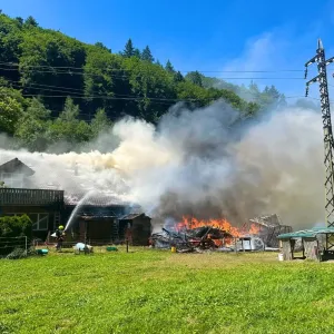 Drame à Berne : des dizaines d’animaux brûlés vifs dans un incendie tragique !
