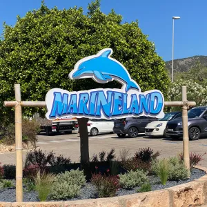 Marineland : l’urgence grandit pour les orques et dauphins toujours bloqués dans des bassins vétustes
